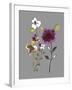 City Flowers IV-Sandra Jacobs-Framed Giclee Print