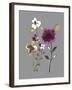 City Flowers IV-Sandra Jacobs-Framed Giclee Print