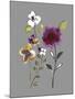 City Flowers IV-Sandra Jacobs-Mounted Giclee Print