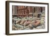 City Hall after the Earthquake, San Francisco, California-null-Framed Art Print