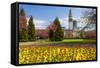 City Hall, Alexandra Gardens, Cathays Park, Cardiff, Wales, United Kingdom, Europe-Billy Stock-Framed Stretched Canvas