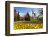 City Hall, Alexandra Gardens, Cathays Park, Cardiff, Wales, United Kingdom, Europe-Billy Stock-Framed Photographic Print