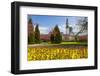 City Hall, Alexandra Gardens, Cathays Park, Cardiff, Wales, United Kingdom, Europe-Billy Stock-Framed Photographic Print