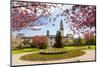 City Hall, Alexandra Gardens, Cathays Park, Cardiff, Wales, United Kingdom, Europe-Billy Stock-Mounted Photographic Print