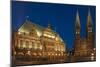 City Hall, Cathedral, Rathausplatz, Bremen, Germany, Europe-Chris Seba-Mounted Premium Photographic Print