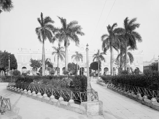 Photo, , large