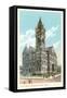 City Hall, Grand Rapids, Michigan-null-Framed Stretched Canvas