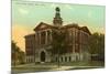 City Hall, Green Bay, Wisconsin-null-Mounted Art Print