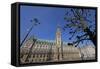 City Hall, Hamburg, Germany, Europe-Hans-Peter Merten-Framed Stretched Canvas