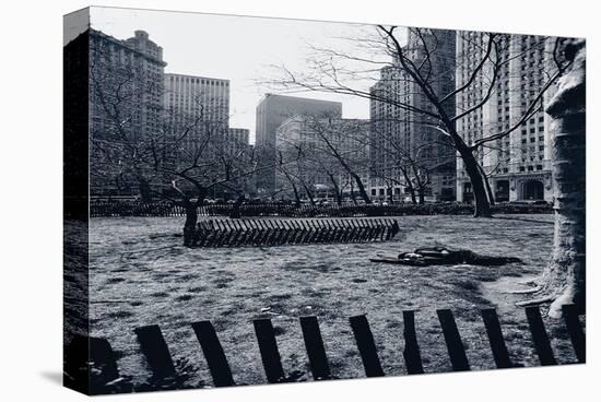 City Hall Park New York-null-Stretched Canvas