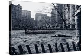 City Hall Park New York-null-Stretched Canvas