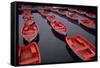 City Island Red Row Boats-Robert Goldwitz-Framed Stretched Canvas