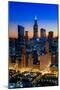 City Light Chicago-Steve Gadomski-Mounted Premium Photographic Print