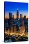 City Light Chicago-Steve Gadomski-Stretched Canvas