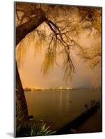 City Lights across Lake Rotorua, Rotorua, Bay of Plenty, North Island, New Zealand-David Wall-Mounted Photographic Print