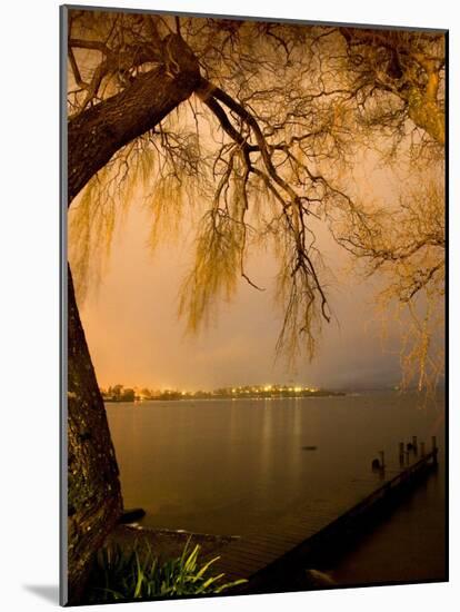 City Lights across Lake Rotorua, Rotorua, Bay of Plenty, North Island, New Zealand-David Wall-Mounted Photographic Print