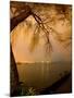 City Lights across Lake Rotorua, Rotorua, Bay of Plenty, North Island, New Zealand-David Wall-Mounted Photographic Print