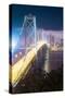 City Lights and the Bay Bridge, San Francisco, California-Vincent James-Stretched Canvas