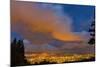 City Lights at Dusk in Portland, Oregon, USA-Chuck Haney-Mounted Photographic Print