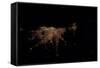 City Lights of Buenos Aires, Argentina-null-Framed Stretched Canvas