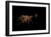 City Lights of Buenos Aires, Argentina-null-Framed Photographic Print