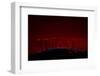 City Lights-Valda Bailey-Framed Photographic Print