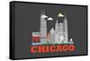 City Living Chicago Asphalt-null-Framed Stretched Canvas