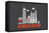 City Living Chicago Asphalt-null-Framed Stretched Canvas