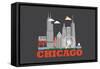 City Living Chicago Asphalt-null-Framed Stretched Canvas