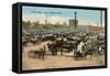 City Market, Grand Rapids, Michigan-null-Framed Stretched Canvas