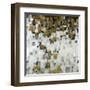 City Nights, Gold-Liz Jardine-Framed Art Print