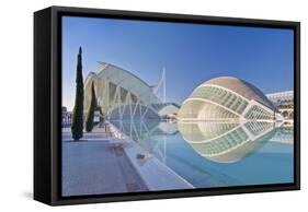 City of Arts and Sciences, Valencia, Spain-Rob Tilley-Framed Stretched Canvas