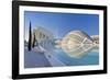 City of Arts and Sciences, Valencia, Spain-Rob Tilley-Framed Photographic Print