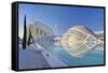 City of Arts and Sciences, Valencia, Spain-Rob Tilley-Framed Stretched Canvas