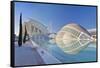 City of Arts and Sciences, Valencia, Spain-Rob Tilley-Framed Stretched Canvas