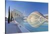 City of Arts and Sciences, Valencia, Spain-Rob Tilley-Stretched Canvas