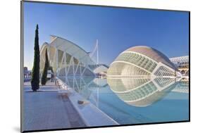 City of Arts and Sciences, Valencia, Spain-Rob Tilley-Mounted Photographic Print