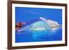 City of Arts and Sciences, Valencia, Spain-Marco Simoni-Framed Photographic Print