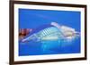 City of Arts and Sciences, Valencia, Spain-Marco Simoni-Framed Photographic Print