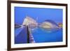 City of Arts and Sciences, Valencia, Spain-Marco Simoni-Framed Photographic Print