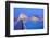 City of Arts and Sciences, Valencia, Spain-Marco Simoni-Framed Photographic Print