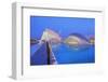 City of Arts and Sciences, Valencia, Spain-Marco Simoni-Framed Photographic Print