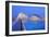 City of Arts and Sciences, Valencia, Spain-Marco Simoni-Framed Photographic Print