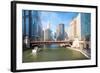 City of Chicago Downtown and River with Bridges-vichie81-Framed Photographic Print