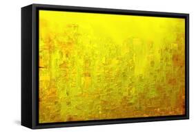 City of Joy 2013-Rabi Khan-Framed Stretched Canvas