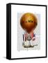 City of New York Hot Air Balloon-Fab Funky-Framed Stretched Canvas