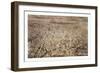 City of Newark, N.J., Circa 1874, USA, America-null-Framed Giclee Print