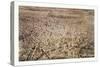 City of Newark, N.J., Circa 1874, USA, America-null-Stretched Canvas