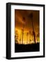 City on Fire-null-Framed Art Print