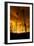 City on Fire-Dragan Jovancevic-Framed Premium Photographic Print